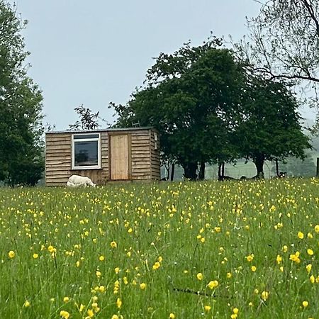 Off Grid Shepherds Hut Hotel Llansilin Eksteriør billede