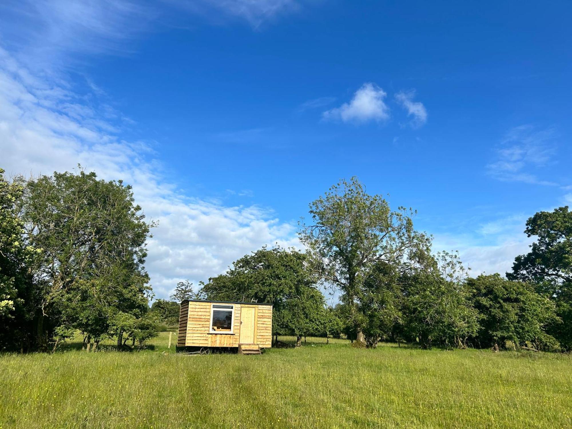 Off Grid Shepherds Hut Hotel Llansilin Eksteriør billede